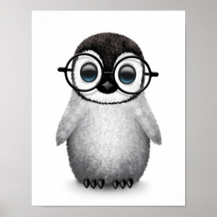 Cute Baby Penguin Wearing Eye Glasses on White Poster