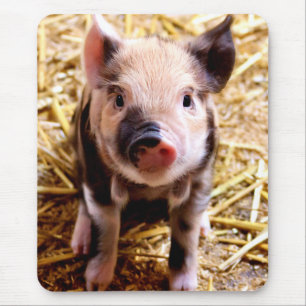 Cute Baby Pig Mouse Pad