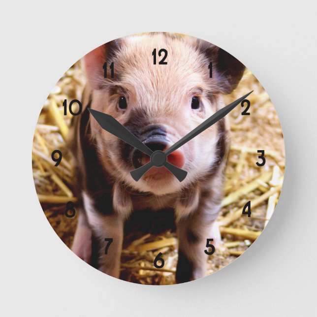 Cute Baby Pig Round Clock (Front)