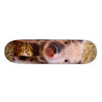 Cute Baby Piglet Farm Animals Babies Skateboard Deck