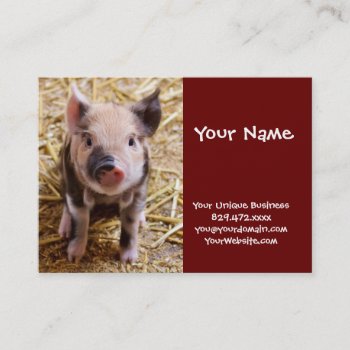 Cute Baby Piglet Farm Animals Barnyard Babies Business Card by azlaird at Zazzle
