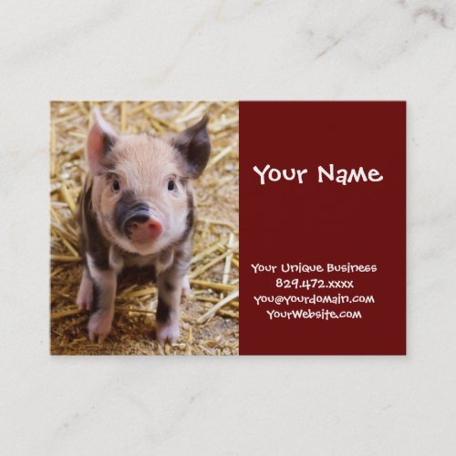 Cute Baby Piglet Farm Animals Barnyard Babies Business Card