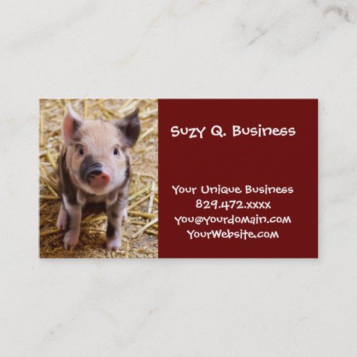 Customizable Cute Baby Piglet Farm Animals Barnyard Babies Business Card
