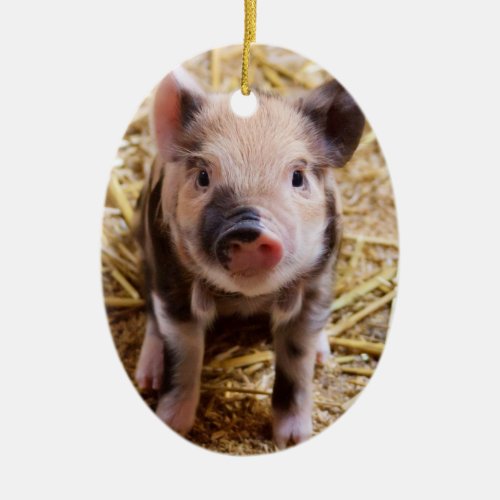 Cute Baby Piglet Farm Animals Barnyard Babies Ceramic Ornament