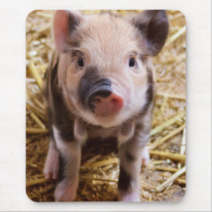 Cute Baby Piglet Farm Animals Barnyard Babies Mouse Pad