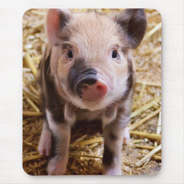 Cute Baby Piglet Farm Animals Barnyard Babies Mouse Pad (Front)