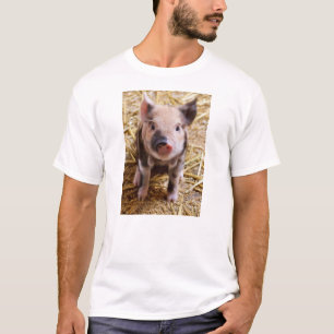 Cute Baby Piglet Farm Animals Barnyard Babies T-Shirt