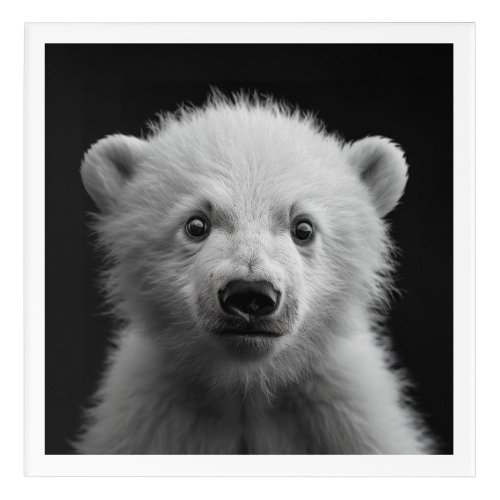 Cute Baby Polar Bear _ Black and White Acrylic Print