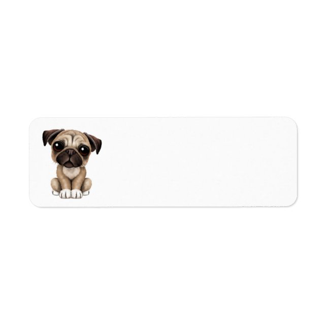 Cute Baby Pug Puppy Dog Label (Front)