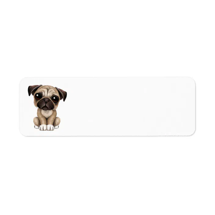Cute Baby Pug Puppy Dog Label Zazzle Com