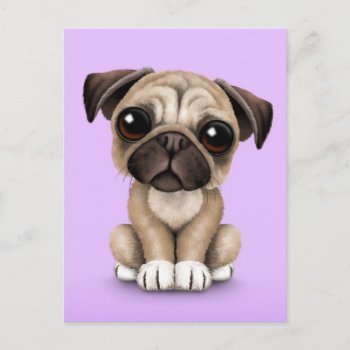 Cute Baby Pug Puppy Dog On Purple Postcard by crazycreatures at Zazzle