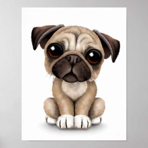 Cute Baby Pug Puppy Dog on White Poster