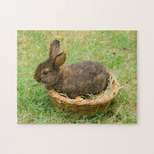Cute baby rabbit jigsaw puzzle