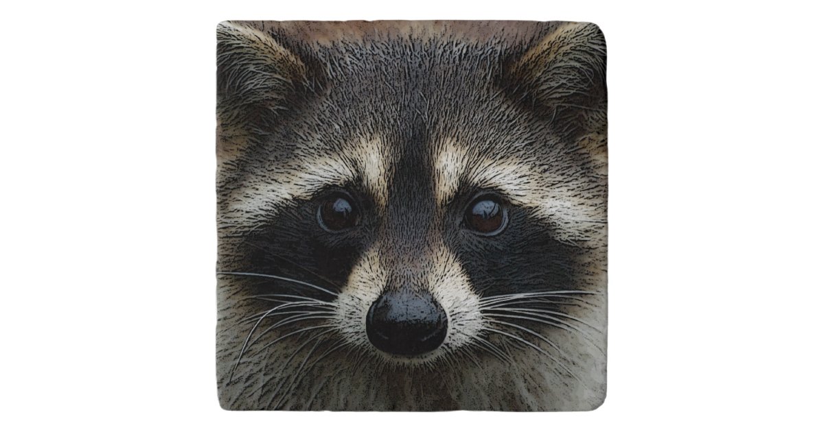 Cute Baby Raccoon Face Staring Brown Eyes Trivet | Zazzle