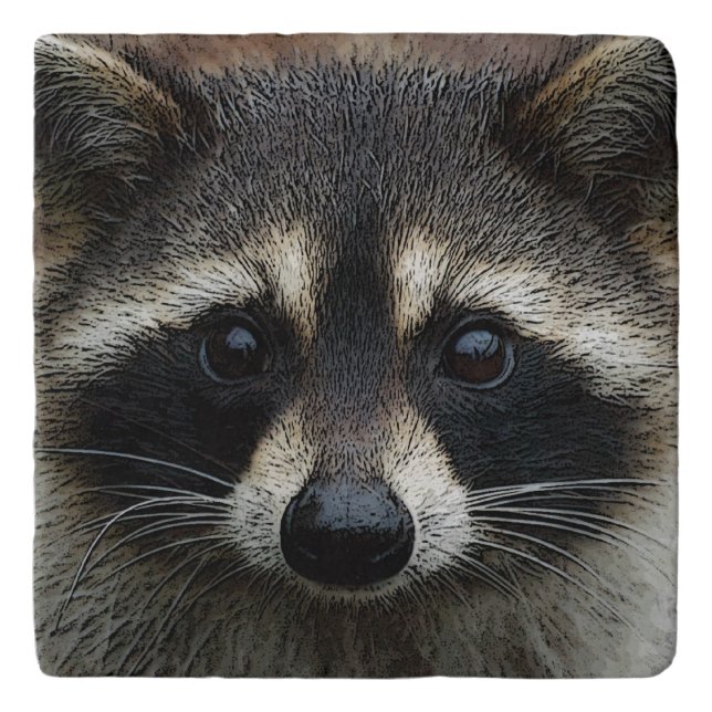 Cute Baby Raccoon Face Staring Brown Eyes Trivet (Front)