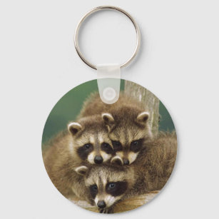 Cute Baby Raccoon Keychain