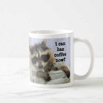 Cute Baby Raccoon Mug  I Can Haz Coffee Now? Coffee Mug by PicturesByDesign at Zazzle