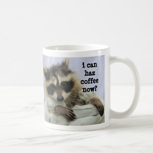 Cute Baby Raccoon Mug, I can haz coffee now? Coffee Mug (Right)