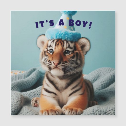 Cute Baby Reveal Boy Baby Tiger (Front)