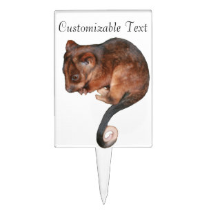 Cute Baby Ringtail Possum Cake Topper