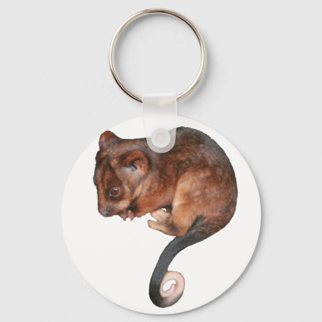 Cute Baby Ringtail Possum Keychain (Front)