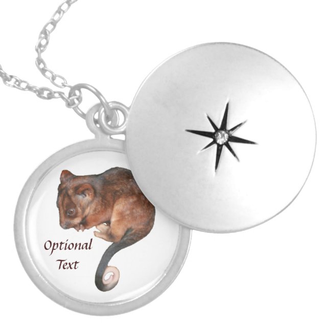 Cute Baby Ringtail Possum Silver Plated Necklace (Front)