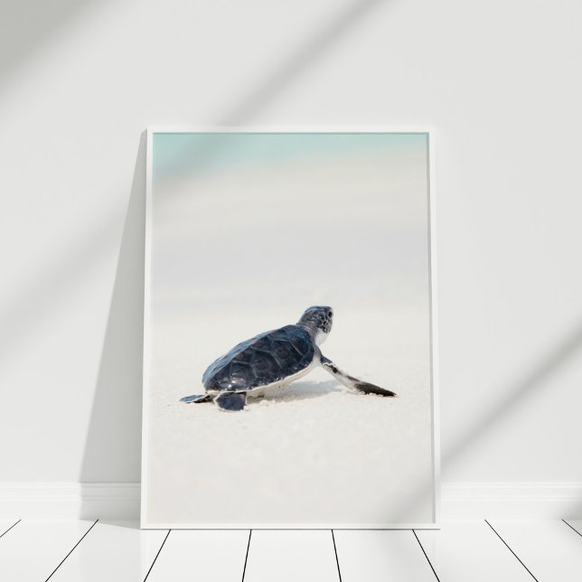 Cute Baby Sea Turtle on the Beach Poster (Cute Baby Sea Turtle on the Beach Poster in white frame on white floor.)