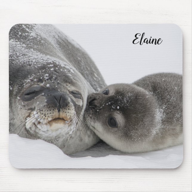 Cute Baby Seal and Mom Personalized Mouse Pad (Front)