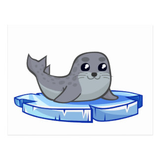 Cute Baby Seal Postcards | Zazzle