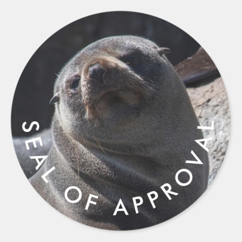 Cute baby seal of approval sticker