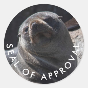 Cute baby seal of approval sticker