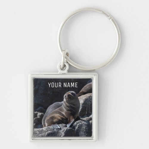 Cute Baby Seal on the Rocks Tasmania Australia Keychain