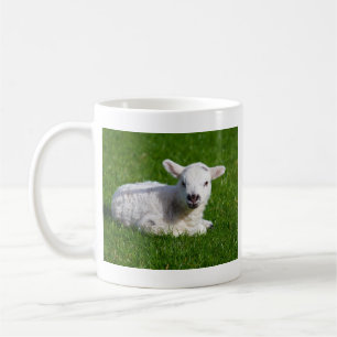 Cute baby sheep lying in grass coffee mug