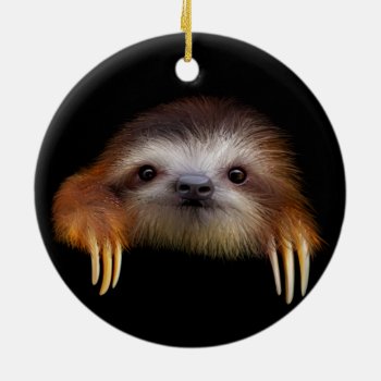 Cute Baby Sloth Hanging Ornament by PawsForaMoment at Zazzle