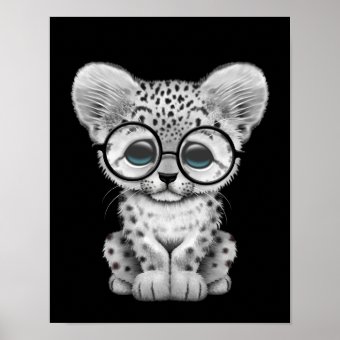 Cute Baby Snow Leopard Cub on Black Poster | Zazzle