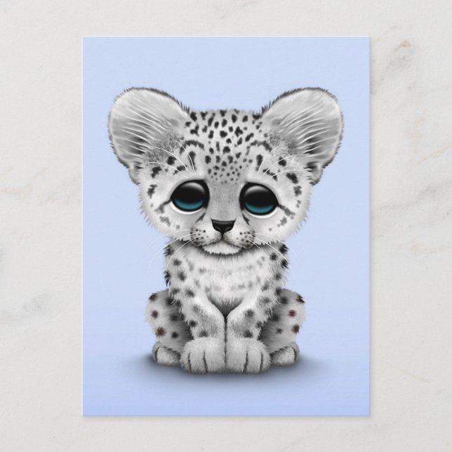 Cute Baby Snow Leopard Cub on Light Blue Postcard (Front)