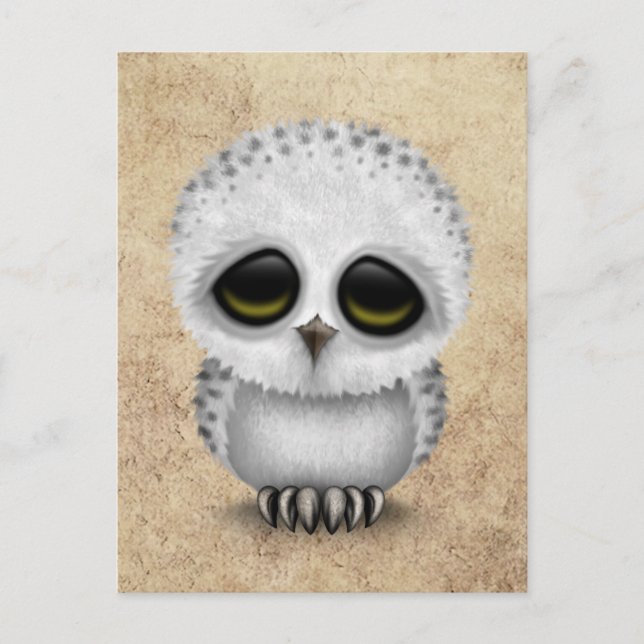 Cute Baby Snowy Owl Chic on Aged Texture Postcard (Front)