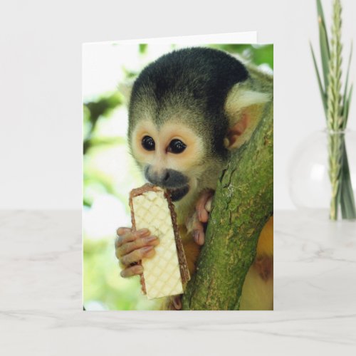 Cute Baby Squirrel Monkey Eating a Wafer Biscuit Card