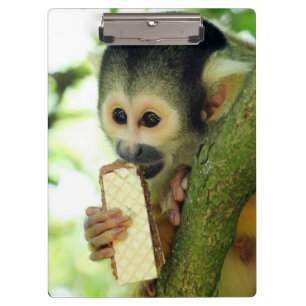 Cute Baby Squirrel Monkey Eating a Wafer Biscuit Clipboard
