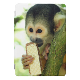 Cute Baby Squirrel Monkey Eating a Wafer Biscuit iPad Pro Cover
