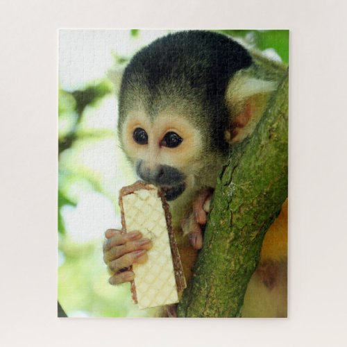 Cute Baby Squirrel Monkey Eating a Wafer Biscuit Jigsaw Puzzle