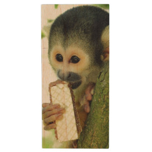 Cute Baby Squirrel Monkey Eating a Wafer Biscuit Wood Flash Drive