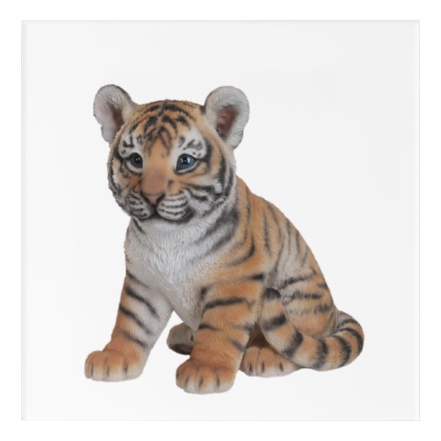 Cute Baby Tiger Cub Acrylic Print (Front)