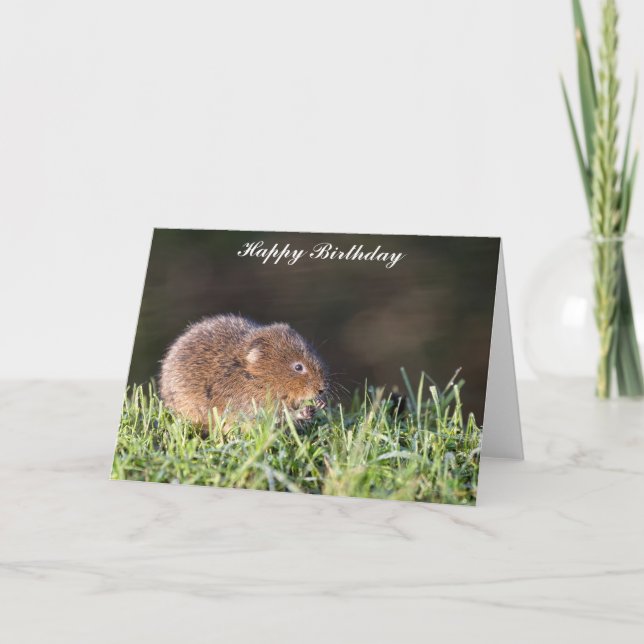 Cute Baby Water Vole Birthday Card (Front)