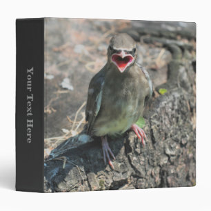 Cute Baby Waxwing Bird Animal Binder