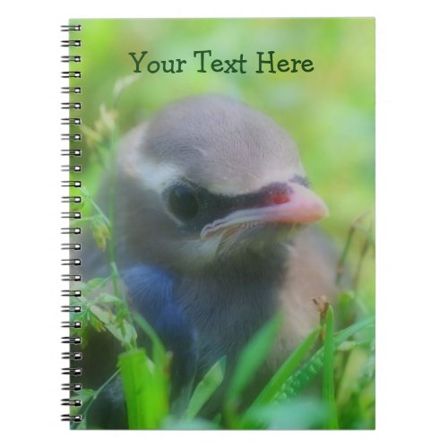 Cute Baby Waxwing Bird Animal Notebook
