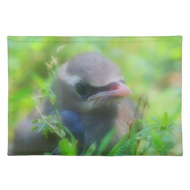 Cute Baby Waxwing Bird Nature Placemat (Front)