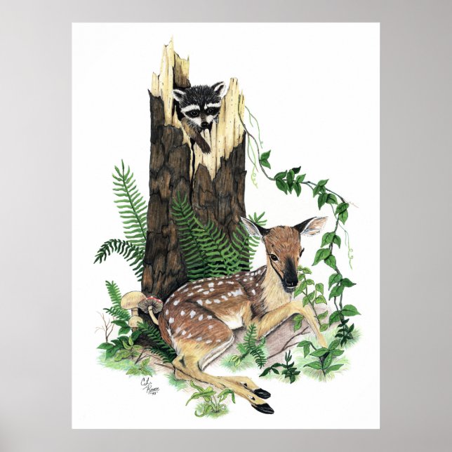 Cute Baby Whitetail Deer Fawn and Raccoon Print (Front)