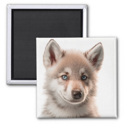 Cute Baby Wolf Portrait Magnet  Collectable