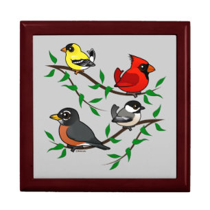 Cute Backyard Birds Gift Box